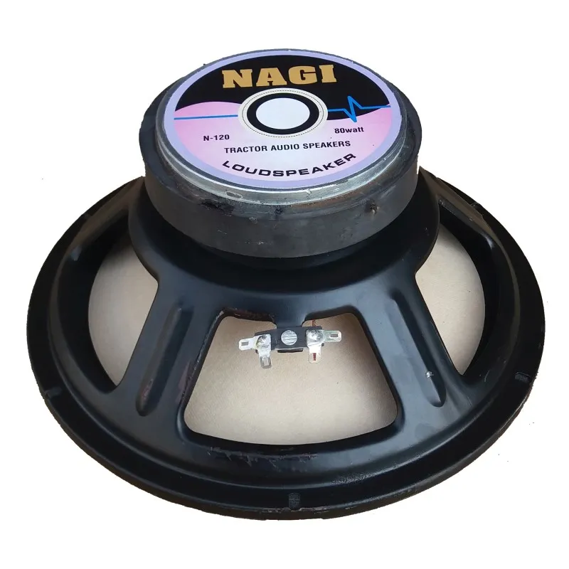 10-INCH (120X20) SPEAKER