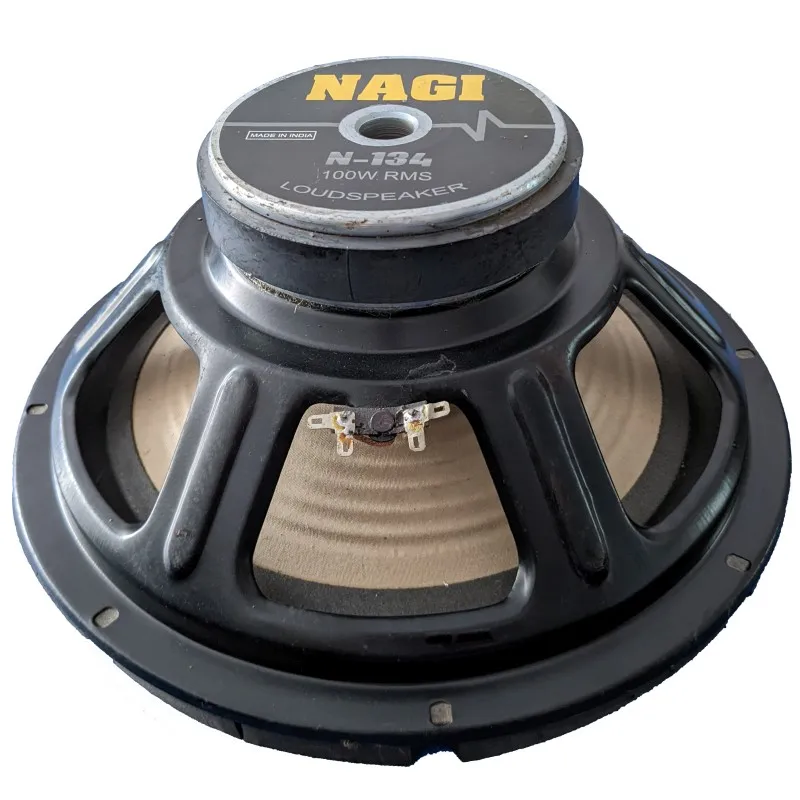 12-INCH (134X20) SPEAKER