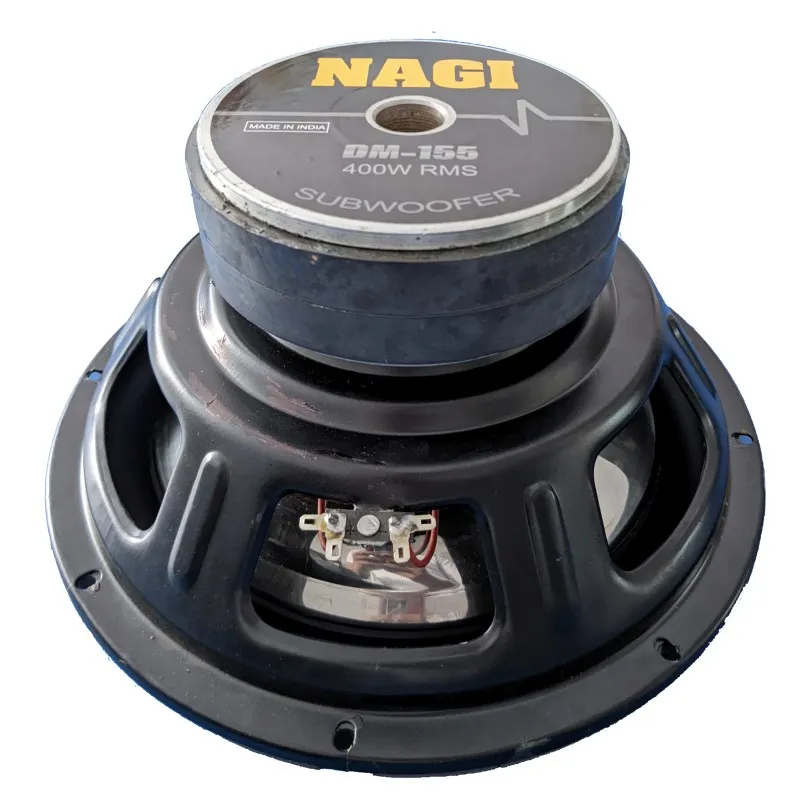 12-INCH DM-155 Subwoofer